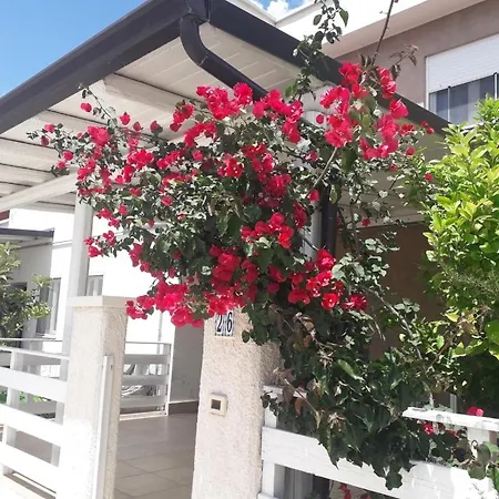 Rosa Holiday home